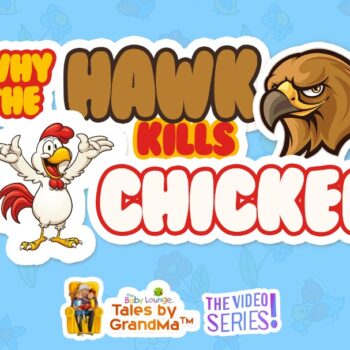Why The Hawk Kills Chicken